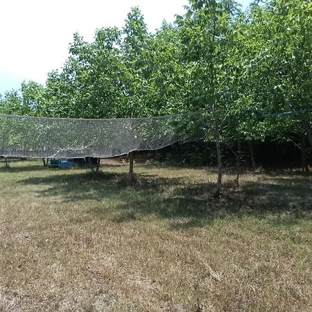 2 Boats * Granichar